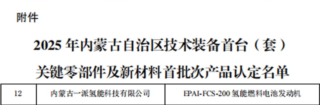 认定名单（节选）
